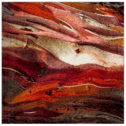 Calabasas Abstract Loomed Area Rug - Safavieh -Safavieh Store GUEST 51b69280 2dda 4fb6 b4f0 fe4b4c5cde9c